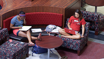 Students studying in DSU
